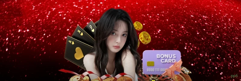 Login pp6