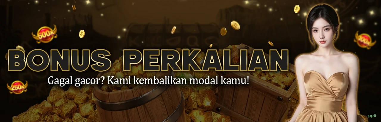 Termos pp6